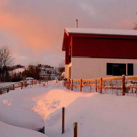 Luxury With Sauna, 200 M From The Area Willa *