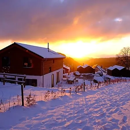 Luxury With Sauna, 200 M From The Area Villa *