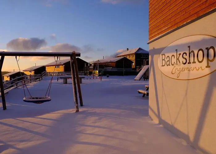 Luxury With Sauna, 200 M From The Area Villa Winterberg